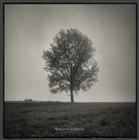 dailyPhoto26